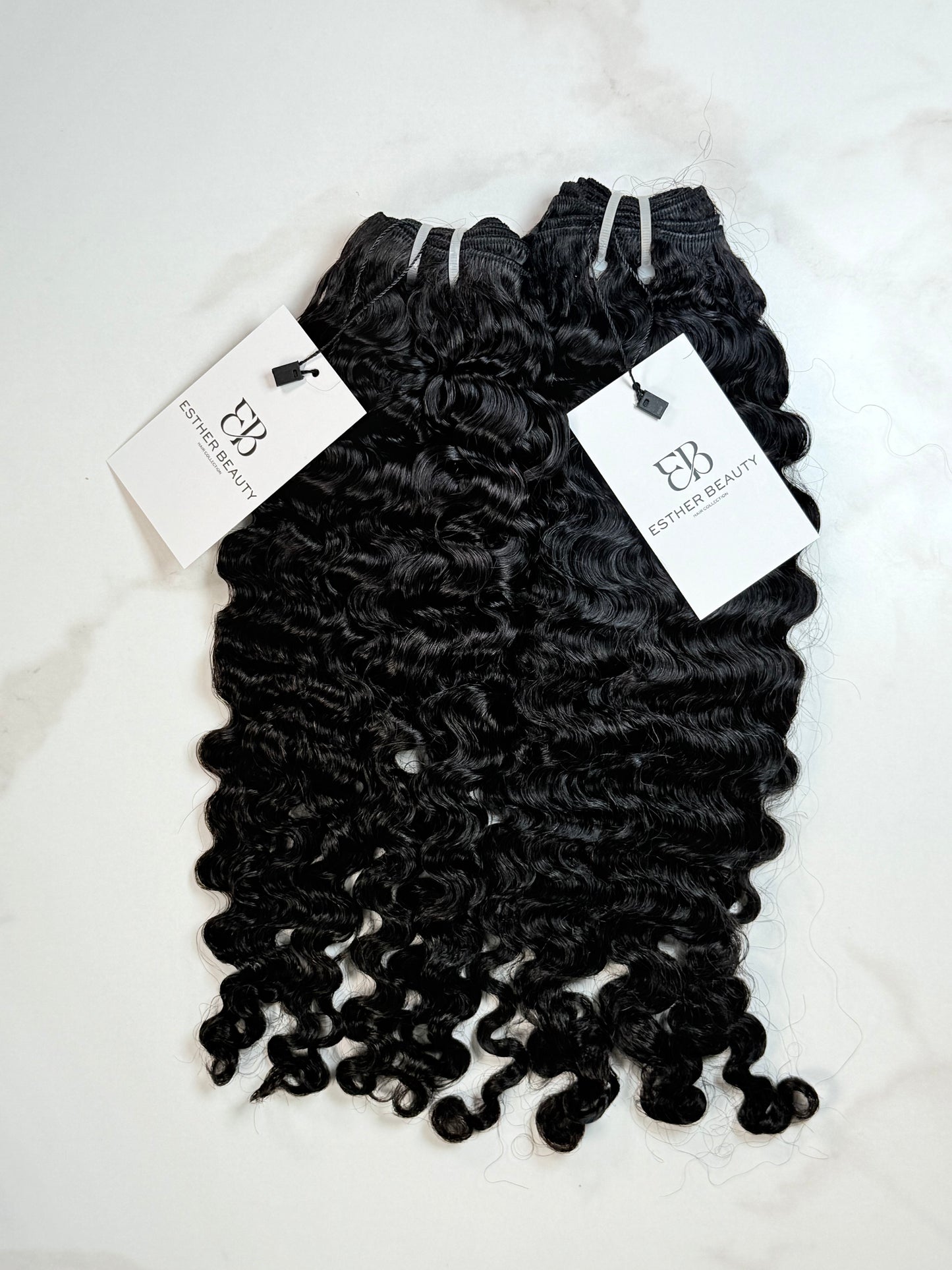 BURMESE CURL